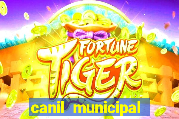 canil municipal porto alegre